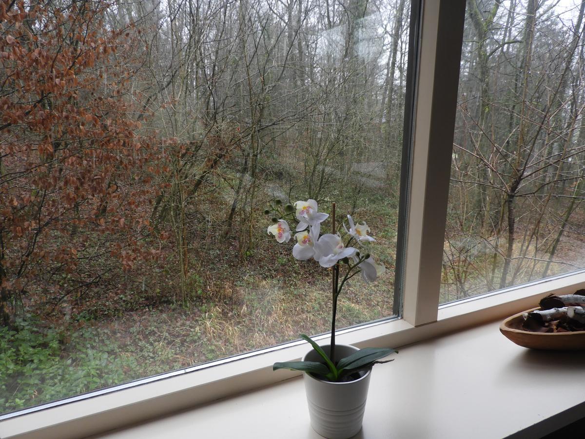 Ardennen Vakantie Chalet Durbuy Dış mekan fotoğraf
